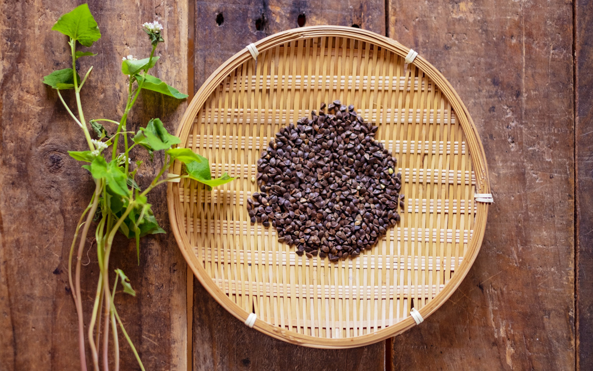 ルチンを含む韃靼そば茶